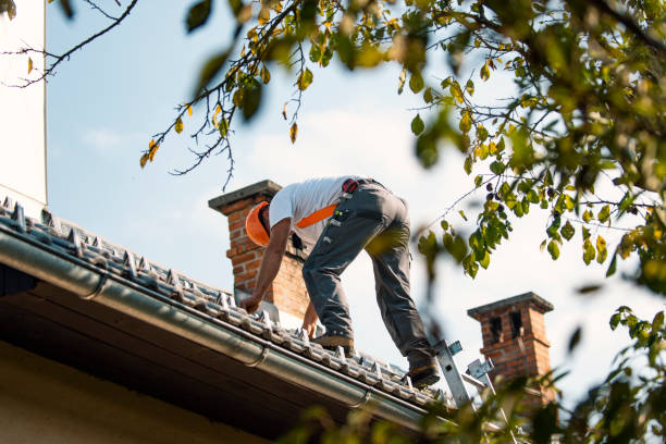 Best Chimney Flashing Repair  in Modesto, CA